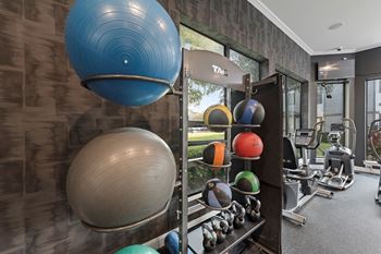 Gym with a variety of exercise balls and equipment
